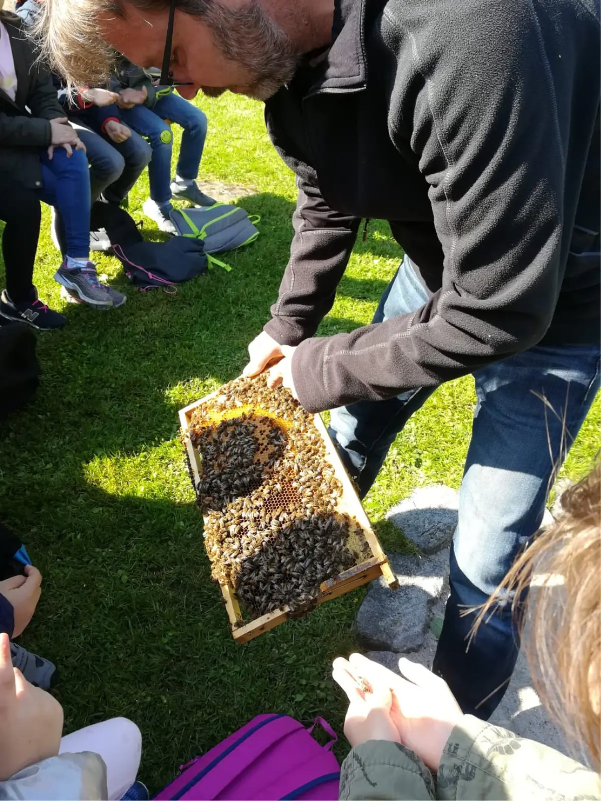 Imkermeister Stefan Kumm zeigt Schülern seine Bienen