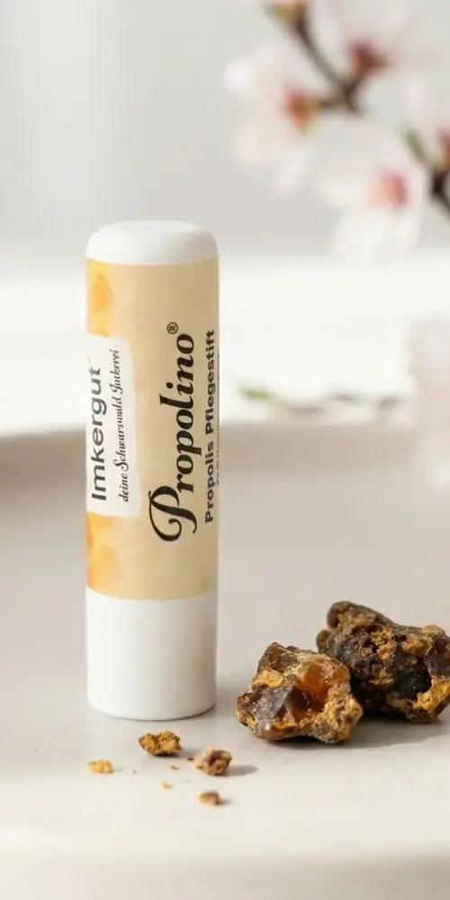 Ein Propolino Lippenpfelgestift auf weiße, Tablett mit einem Rück Rohpropolis