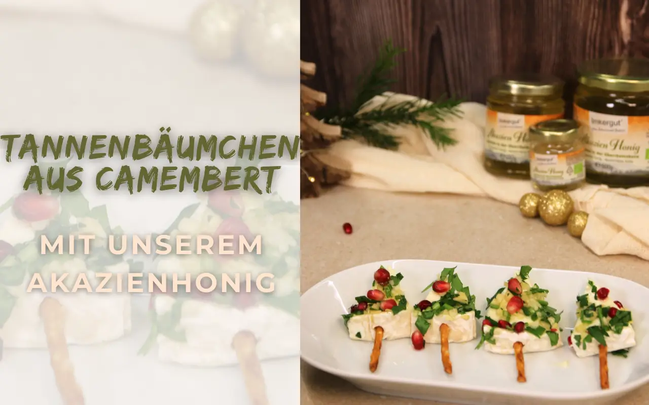 Camembert in Dreiecke geschnitten, garniert mit Petersilie und Granatapfelkernen