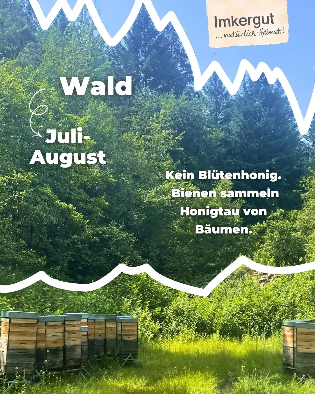 Bienenkästen im Wald