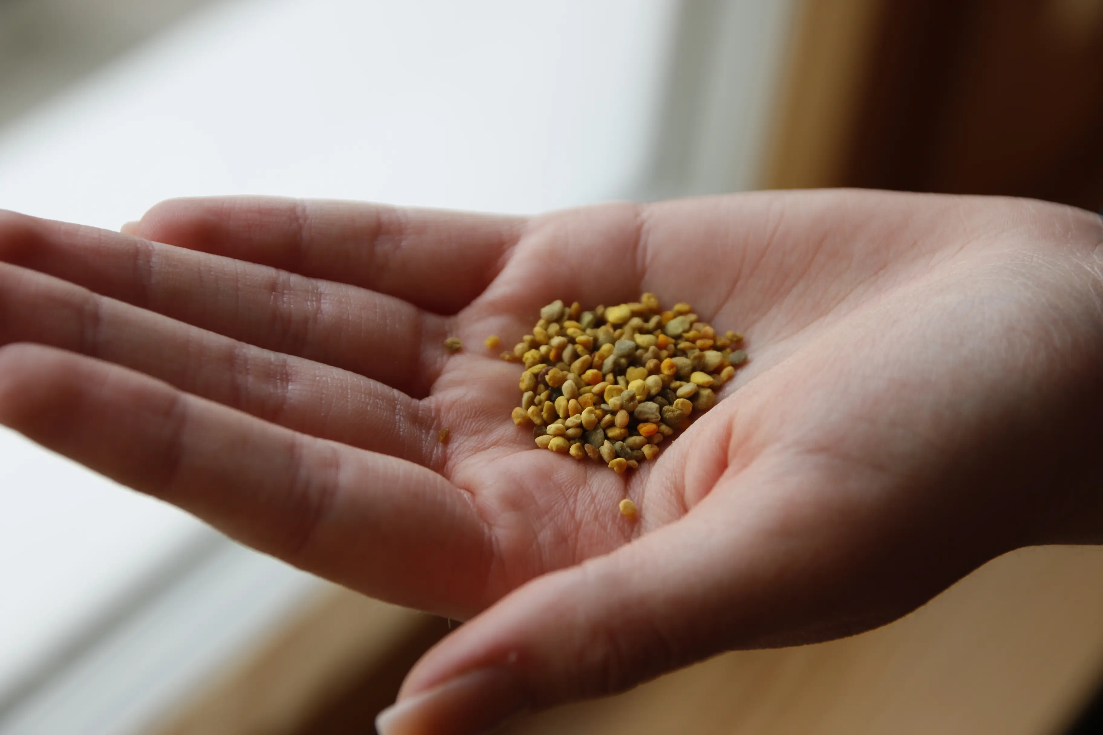 Blütenpollen auf einer Hand Blütenpollen auf einer Hand