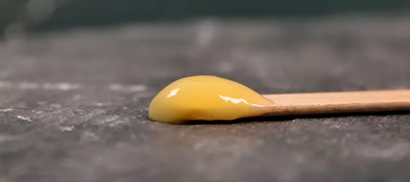 Gelée Royale